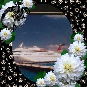 Meet your Posher, Harmony